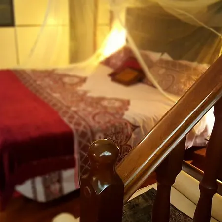 Bijou House بولونيا